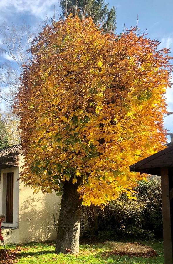 Les Tilleuls Montbeliard Sud Audincourt 외부 사진