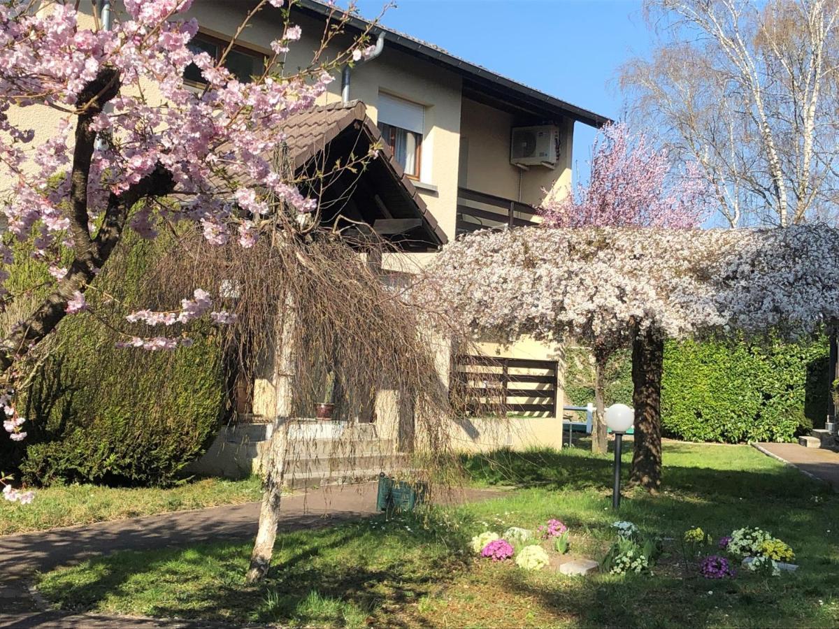 Les Tilleuls Montbeliard Sud Audincourt 외부 사진